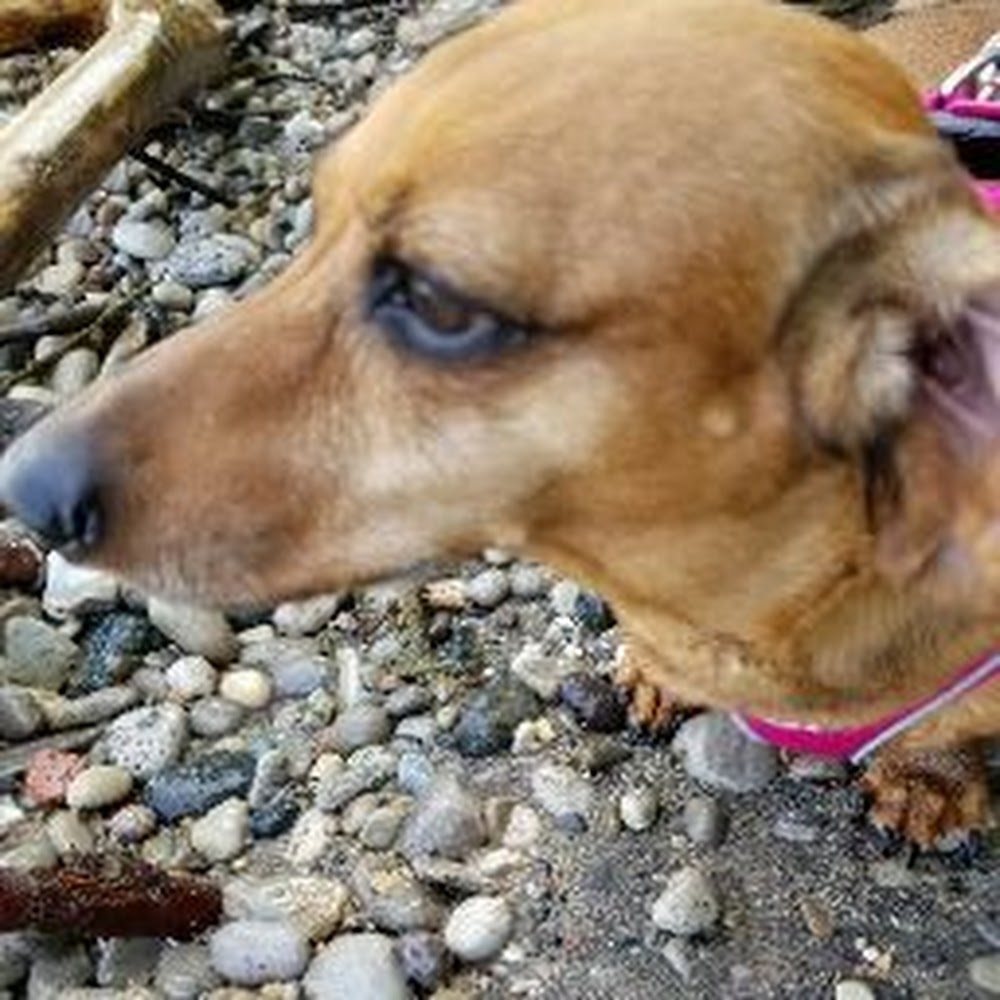 Meet your Posher, Sharon